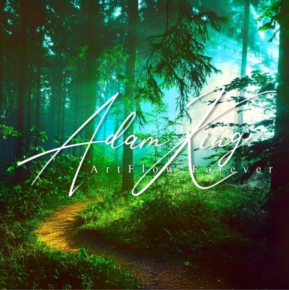 Sunlit green forest path